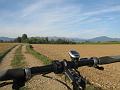 bici 073